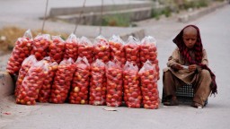 Pak: Tomato prices soar to PKR 200 per kg ahead of Eid festivities
